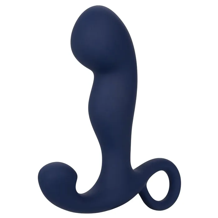 Anal CAL EXOTICS Viceroy Rechargeable Command Probe